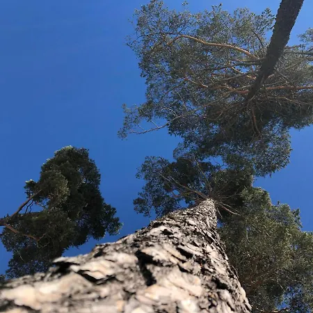 Pracatinat & Restaurant フェネストレッレ